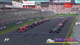 ������ ����� ����� 2017 ������