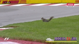 ����� ���������� ������ �1 �� ���� ��� ������