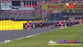 ������� 1 2017 ����-��� ������� �����������